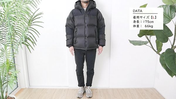 THE NORTH FACE Nuptse Hoodie ヌプシフーディ